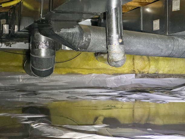 Best Residential water damage restoration  in Susitna North, AK