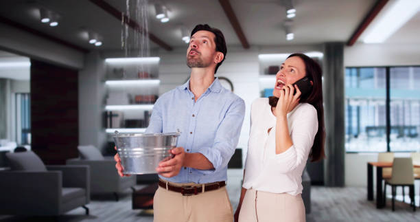 Best Flood damage cleanup  in Susitna North, AK